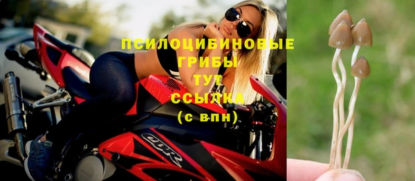 mdpv Краснослободск