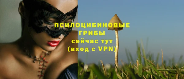 наркотики Ладушкин