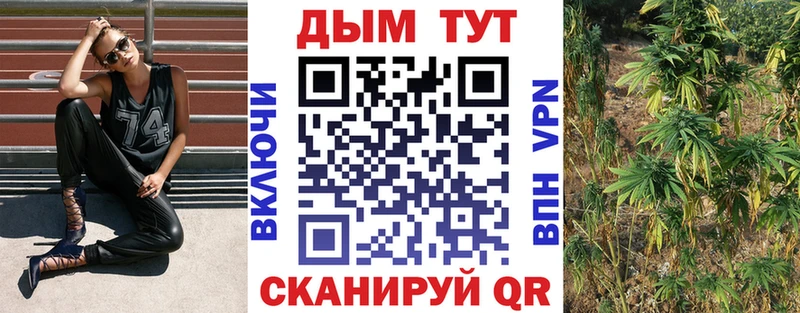 сколько стоит  Сурск  Бошки Шишки White Widow 